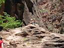 077_zion.jpg